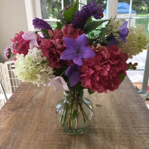 Meet your Posher, Diana - Picture 3 of 3